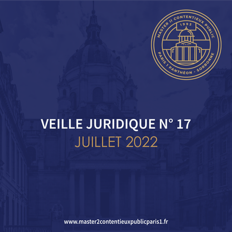 Veille juridique n°17 - Juillet 2022